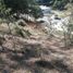  Land for sale in San Joaquin, Queretaro, San Joaquin