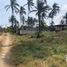  Grundstück zu verkaufen in Paraiso, Tabasco, Paraiso