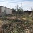  Land for sale in Montecristi, Manabi, Montecristi, Montecristi