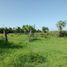  Land for sale in Panuco, Veracruz, Panuco