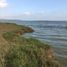  Land for sale in Panuco, Veracruz, Panuco