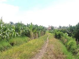  Grundstück zu verkaufen in Karangploso, East Jawa, Karangploso