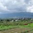  Grundstück zu verkaufen in Karangploso, East Jawa, Karangploso