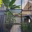 3 Schlafzimmer Villa zu verkaufen in Moron, Buenos Aires, Moron