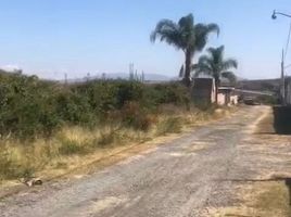  Grundstück zu verkaufen in Ixtlahuacan De Los Membrillos, Jalisco, Ixtlahuacan De Los Membrillos