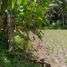  Terreno (Parcela) en venta en Pakem, Yogyakarta, Pakem