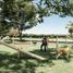  Terreno (Parcela) en venta en Progreso, Yucatán, Progreso