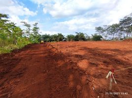  Land for sale in Pekalongan, Jawa Tengah, Tirto, Pekalongan