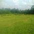  Land for sale in Kerambitan, Tabanan, Kerambitan