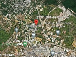  Grundstück zu verkaufen in Conkal, Yucatan, Conkal