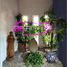5 Bedroom House for sale in Chihuahua, Chihuahua, Chihuahua, Chihuahua