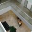 28 m² Office for rent in Queretaro, Queretaro, Queretaro