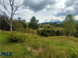  Terreno (Parcela) en venta en Retiro, Antioquia, Retiro