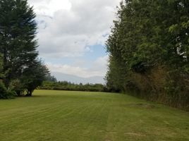  Terrain for sale in San Antonio, Ibarra, San Antonio