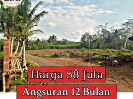  Land for sale in Kepanjen, Malang Regency, Kepanjen