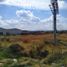  Terreno (Parcela) en alquiler en Tonala, Jalisco, Tonala