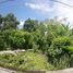  Land for sale in Ungasan, Bali, Ungasan, Badung