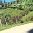  Land for sale in Envigado, Antioquia, Envigado