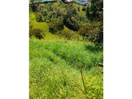  Land for sale in Envigado, Antioquia, Envigado