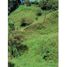  Land for sale in Envigado, Antioquia, Envigado