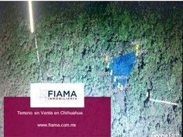  Land for sale in Compostela, Nayarit, Compostela