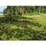  Land for sale in Colon, Maria Chiquita, Portobelo, Colon