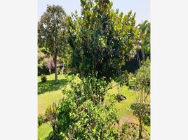5 Habitación Casa en venta en Cuernavaca, Morelos, Cuernavaca