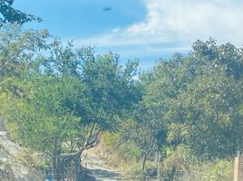  Terreno (Parcela) en venta en Zapopan, Jalisco, Zapopan