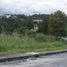  Terreno (Parcela) en venta en Talisay City, Central Visayas, Talisay City
