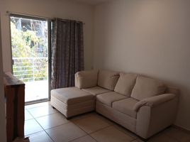 1 Bedroom Apartment for rent in Cozumel, Quintana Roo, Cozumel, Quintana Roo