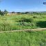  Land for rent in Durango, Durango, Durango