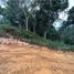 Terrain à vendre à Retiro, Antioquia, Retiro, Antioquia, Colombie