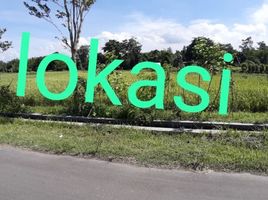  Terreno (Parcela) en venta en Seyegan, Yogyakarta, Seyegan