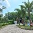 2 Bedroom House for sale in Prambanan, Klaten, Prambanan