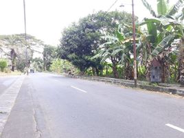  Terreno (Parcela) en venta en Seyegan, Yogyakarta, Seyegan