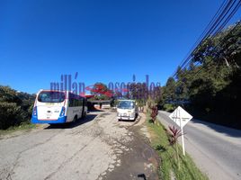  Terreno (Parcela) en alquiler en Manizales, Caldas, Manizales