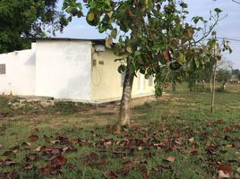  Land for sale in Monteria, Cordoba, Monteria