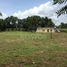  Land for sale in Monteria, Cordoba, Monteria