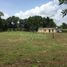  Land for sale in Monteria, Cordoba, Monteria