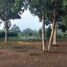  Land for sale in Monteria, Cordoba, Monteria