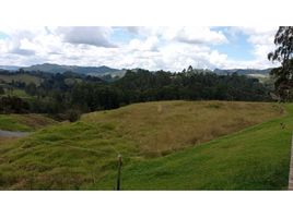  Land for sale in Retiro, Antioquia, Retiro