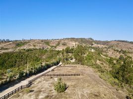  Terreno (Parcela) en venta en Cardenal Caro, Libertador General Bernardo O'Higgins, Navidad, Cardenal Caro
