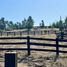  Terreno (Parcela) en venta en Cardenal Caro, Libertador General Bernardo O'Higgins, Navidad, Cardenal Caro