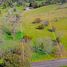  Land for sale in Los Rios, Futrono, Ranco, Los Rios