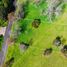  Land for sale in Los Rios, Futrono, Ranco, Los Rios
