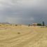  Grundstück zu verkaufen in Ojinaga, Chihuahua, Ojinaga