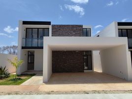 Maison 4 chambre à vendre à Conkal, Yucatan, Conkal
