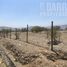  Land for sale in Chile, Santiago, Santiago, Santiago, Chile