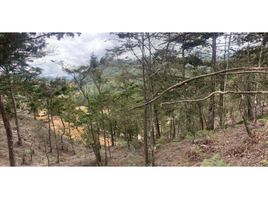  Land for sale in La Ceja, Antioquia, La Ceja