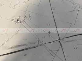  토지을(를) 박사 곤잘레스, 누에 보 레온에서 판매합니다., 박사 곤잘레스